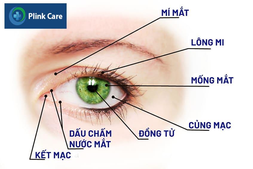 Nguyên nhân viễn thị ở mắt