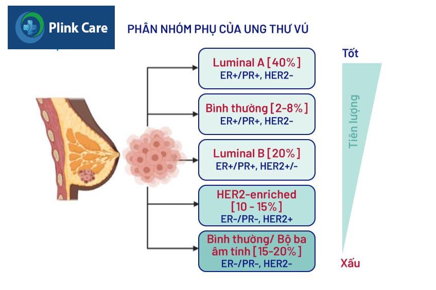 Nhóm ung thư vú