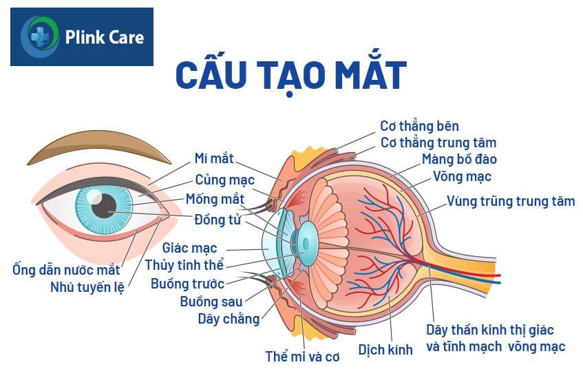 Tại sao cần mổ Phaco