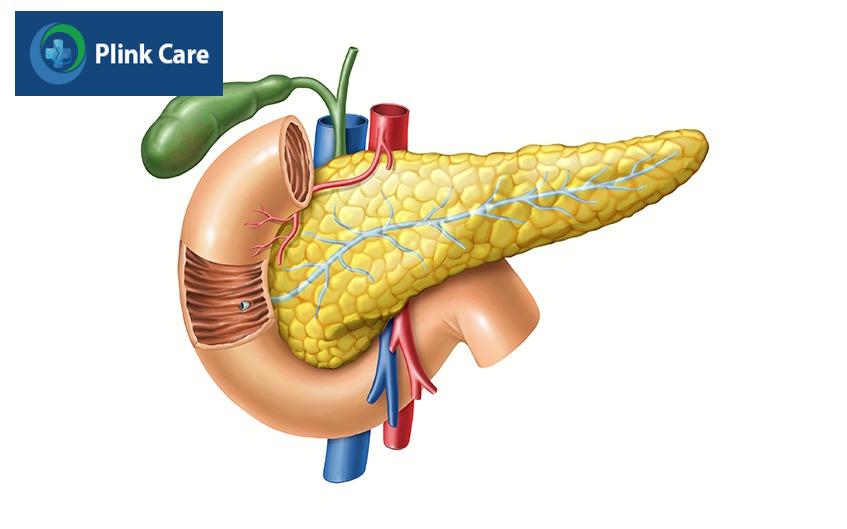 bị polyp túi mật