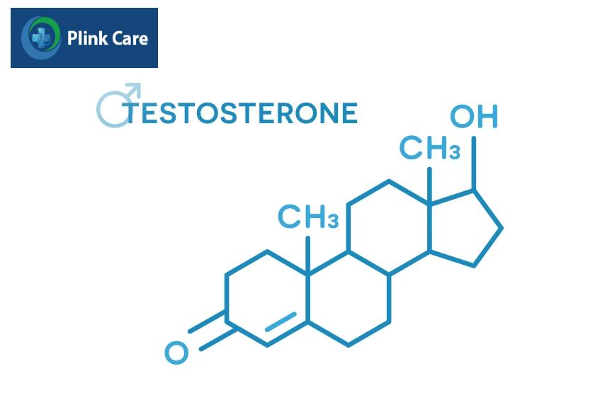 Cơ thể nam sản xuất nhiều testosterone