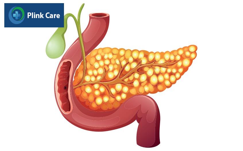 polyp túi mật là bệnh gì