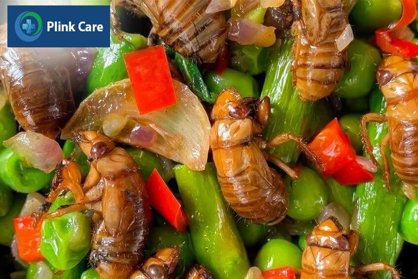 thức ăn từ ve sầu
