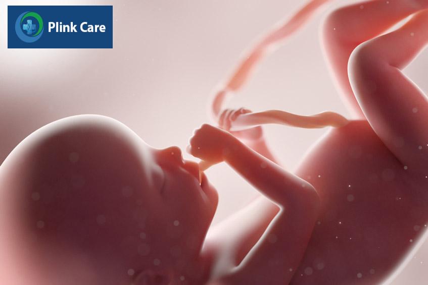 tuân thủ các mốc khám thai giúp thai nhi phát triển tốt