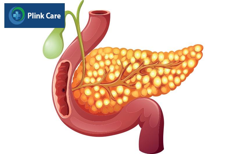 kích thước polyp túi mật