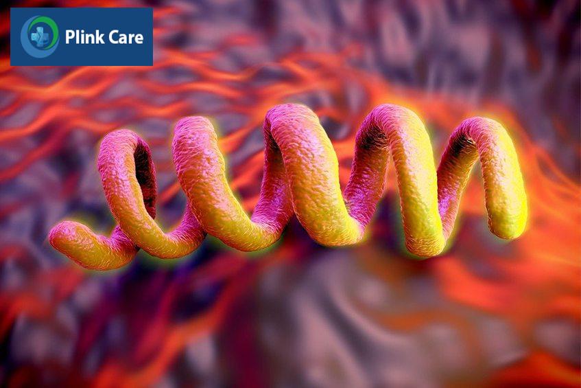 Vi khuẩn Treponema pallidum gây bệnh