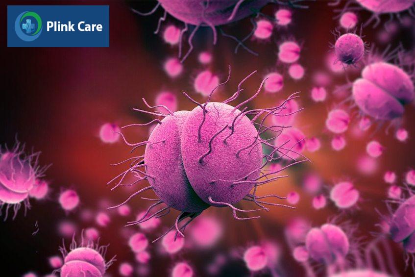Vi khuẩn Neisseria gonorrhoeae