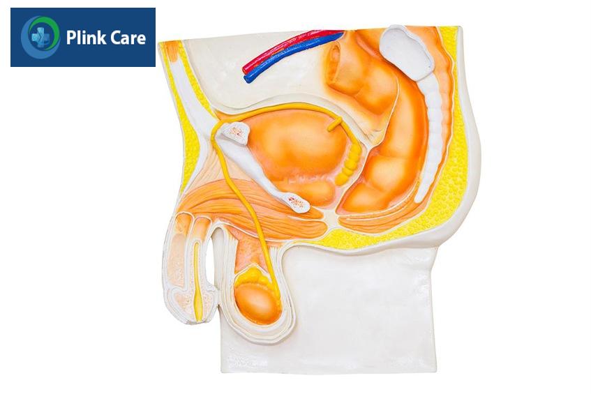 xuất tinh ngược dòng không gây nguy hiểm