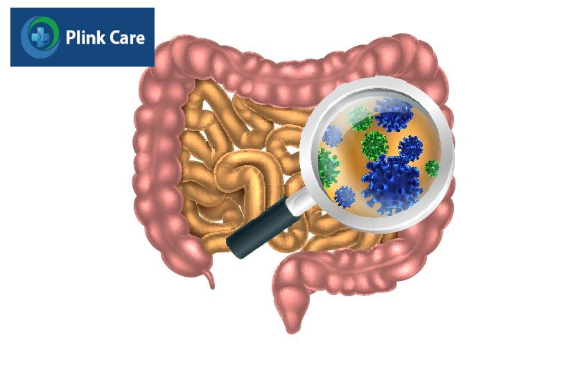 bệnh nhiễm khuẩn đường ruột