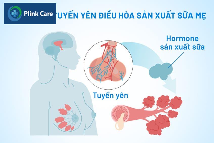 đau nhói vú dưới bên trái