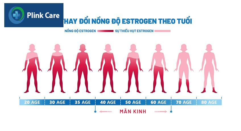 estrogen thay đổi theo độ tuổi