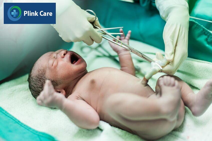 lưu trữ máu cuống rốn ở đâu