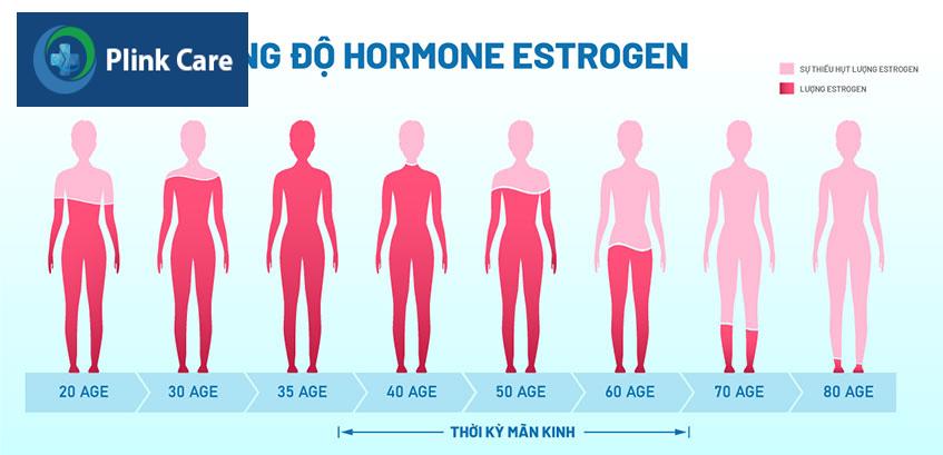 nồng độ estrogen trong thời kỳ mãn kinh