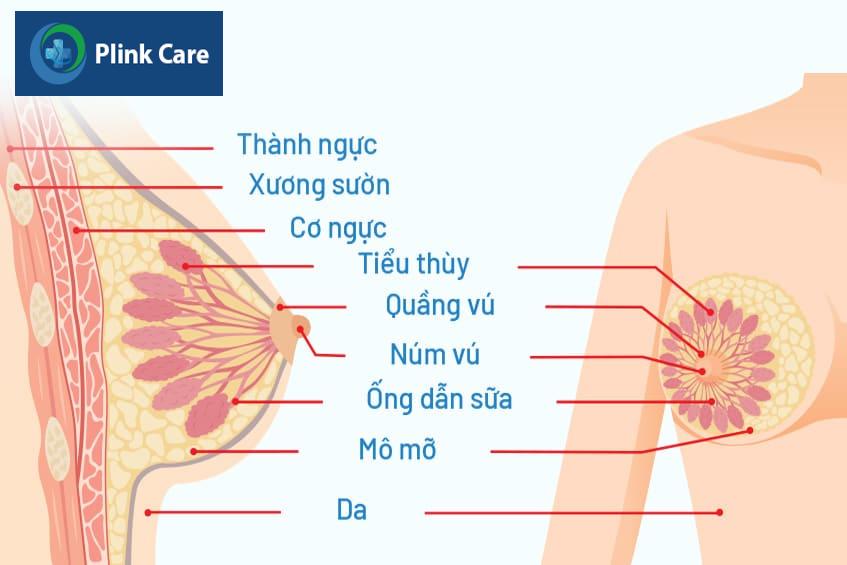 núm vú bị khô tróc vảy