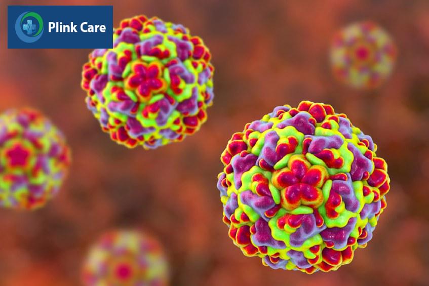 Rhinovirus là tác nhân gây bệnh cảm lạnh thường gặp nhất