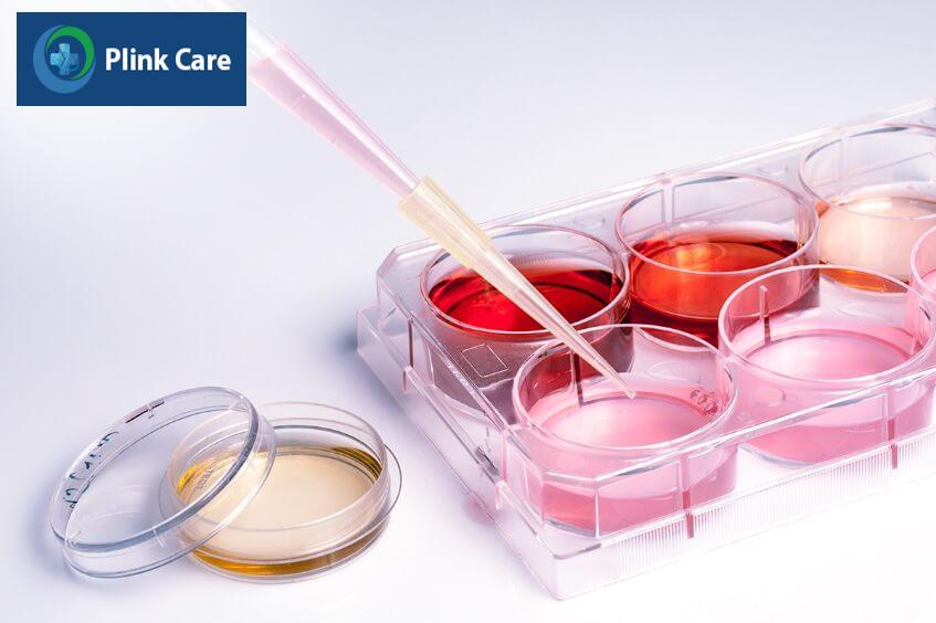 tế bào gốc điều trị ung thư máu