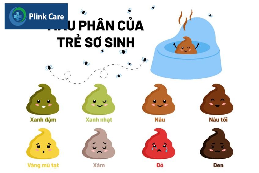 Màu phân của trẻ sơ sinh khá đa dạng
