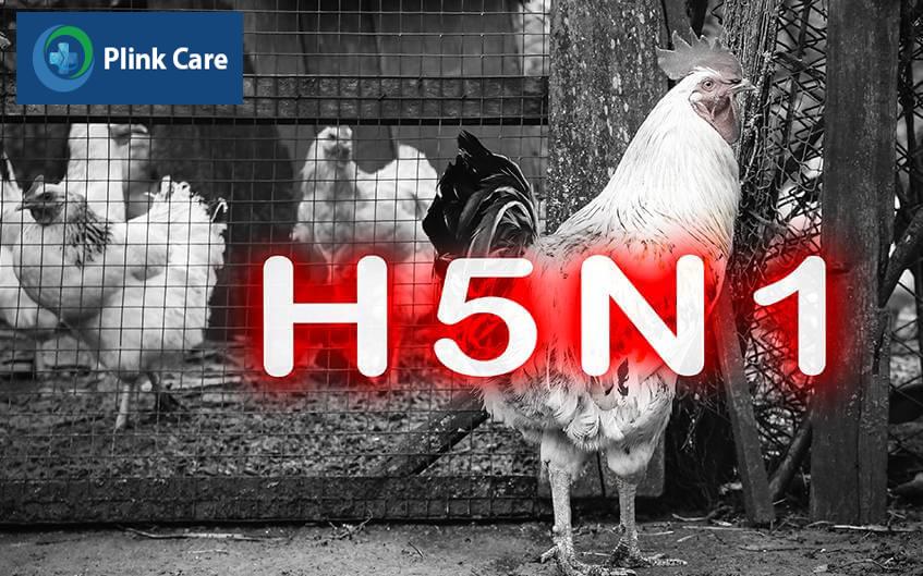 bệnh cúm a h5