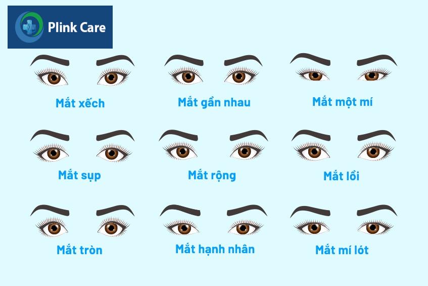hình dạng mắt