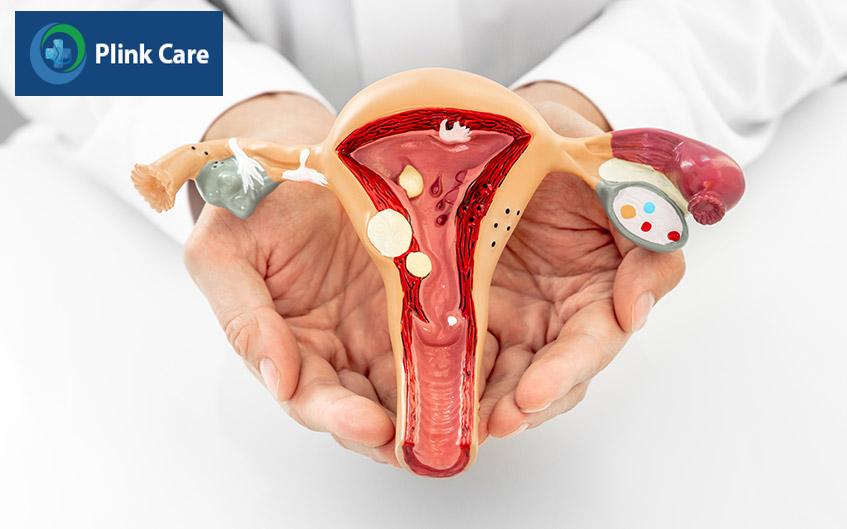 Các bệnh lý như polyp, u xơ, lạc nội mạc… hay niêm mạc tử cung mỏng đều ảnh hưởng đến sự phát triển của em bé