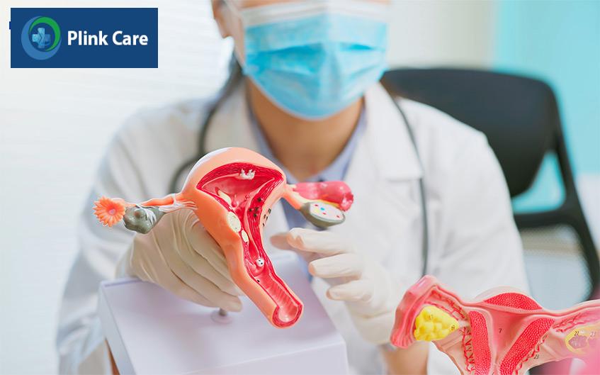 Độ dày niêm mạc tử cung ảnh hưởng đến sự làm tổ và phát triển của phôi