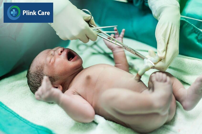 thu thập cấy ghép tế bào gốc tự thân