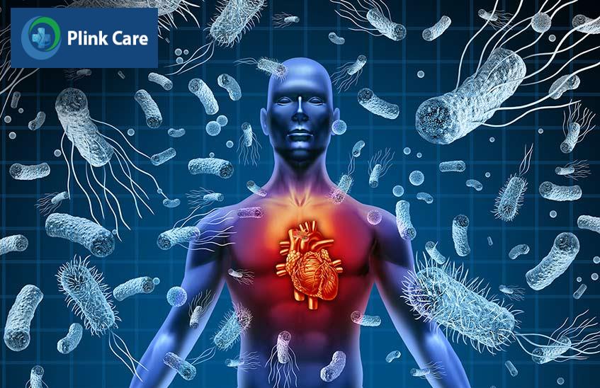 Vi khuẩn xâm nhập vào cơ thể, đi vào máu và gây loét van tim