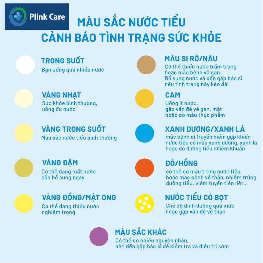 bảng màu nước tiểu tổng quan