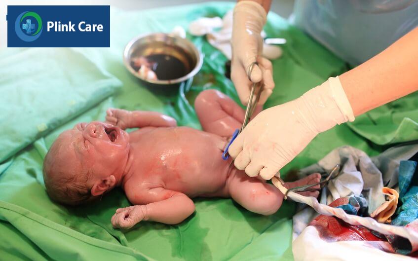 thu thập bảo quản tế bào gốc