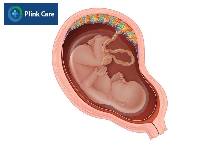 túi ối giúp bảo vệ thai nhi