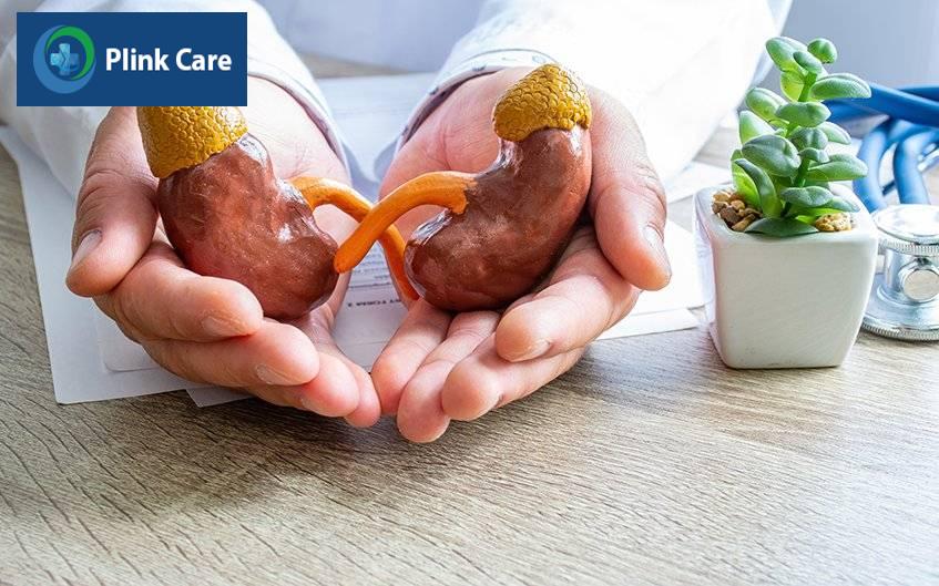 vai trò của thận