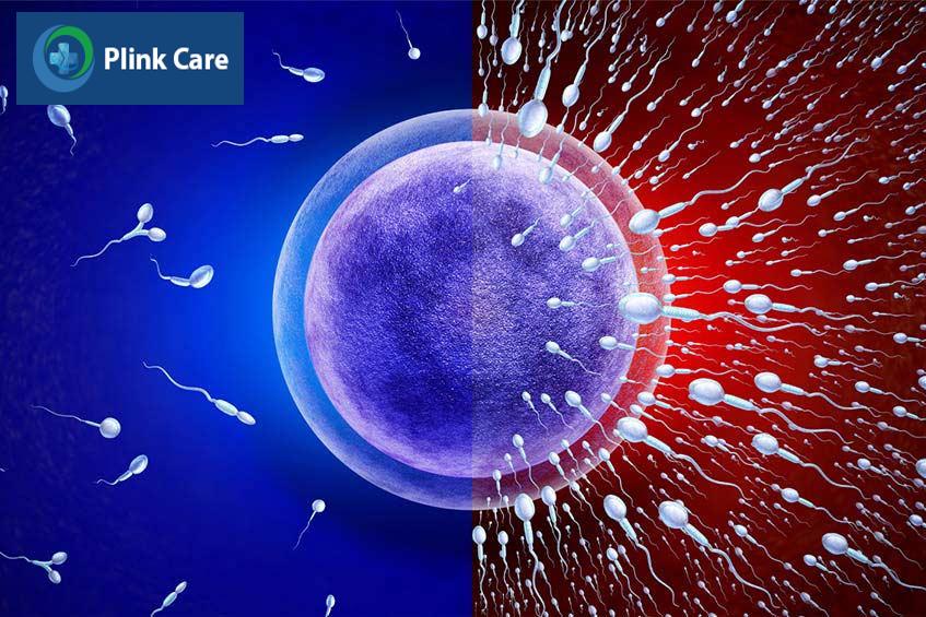 Nhiều nam giới lo lắng bị tinh trùng loãng có dẫn đến vô sinh không