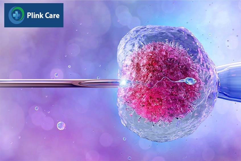 Tắc vòi trứng ảnh hưởng tỷ lệ mang thai IVF thành công