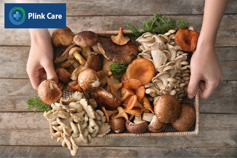 người bị gan nhiễm mỡ nên ăn gì, các loại nấm