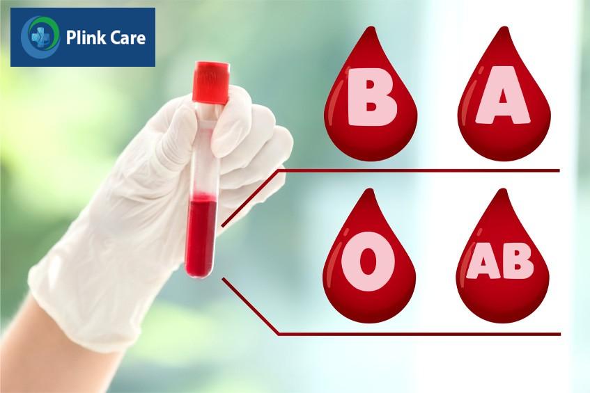 Các nhóm máu hệ ABO gồm 4 loại A B AB O