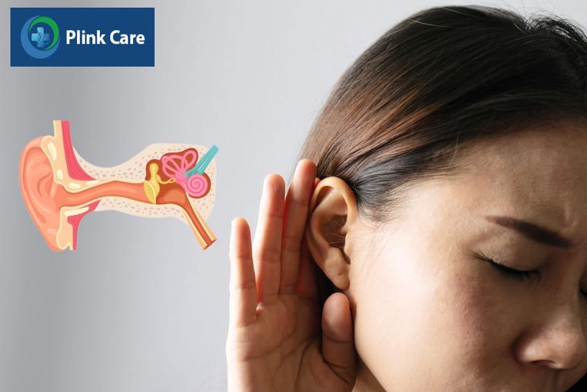 cấu trúc của tai