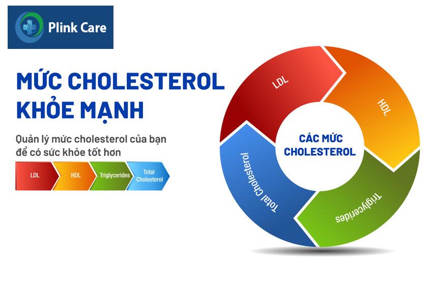 Định lượng cholesterol toàn phần bao gồm HDL, LDL và Triglyceride