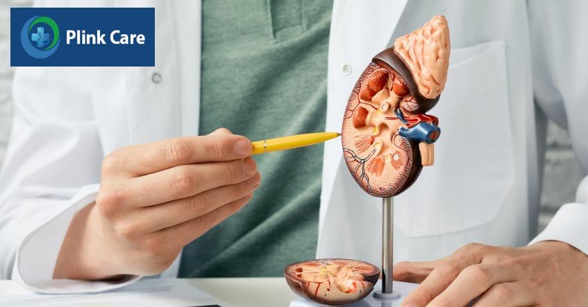 phòng ngừa thận ứ nước cấp độ 2