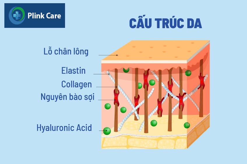 tiêm bap 5 điểm có nguy hiểm không