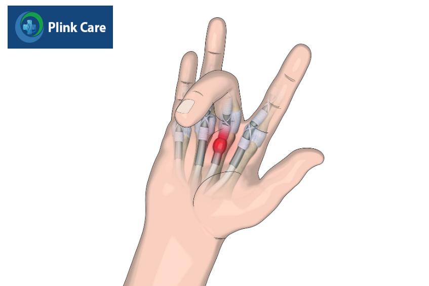 bài tập cải thiện sức mạnh và độ linh hoạt