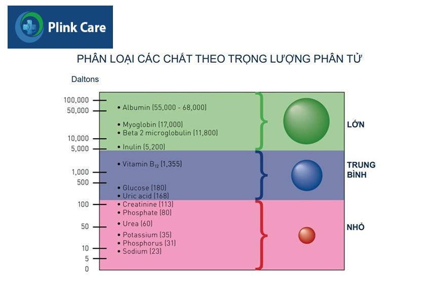 các phương thức lọc máu liên tục