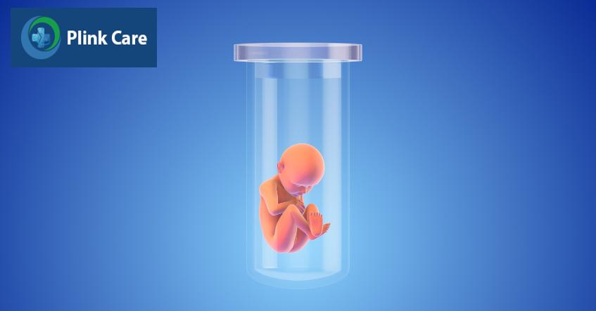 Chất lượng phôi thai có thể ảnh hưởng đến tỷ lệ thụ thai thành công