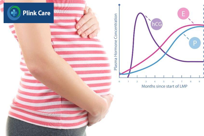 gia tăng hormone liên quan đến buồn nôn khi mang thai