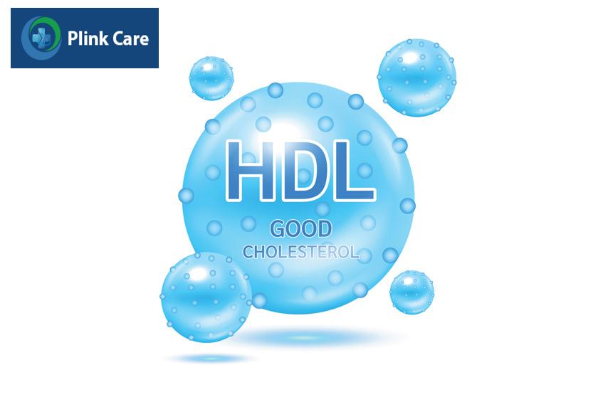 HDL cholesterol là cholesterol có lợi cho cơ thể