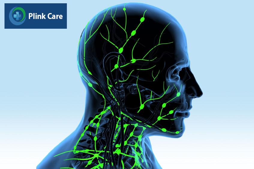hệ thống hạch bạch huyết vùng đầu cổ