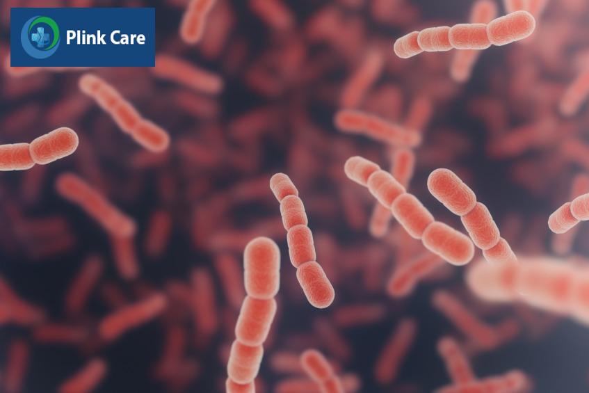 Streptococcus pneumoniae là chủng vi khuẩn gây viêm phổi