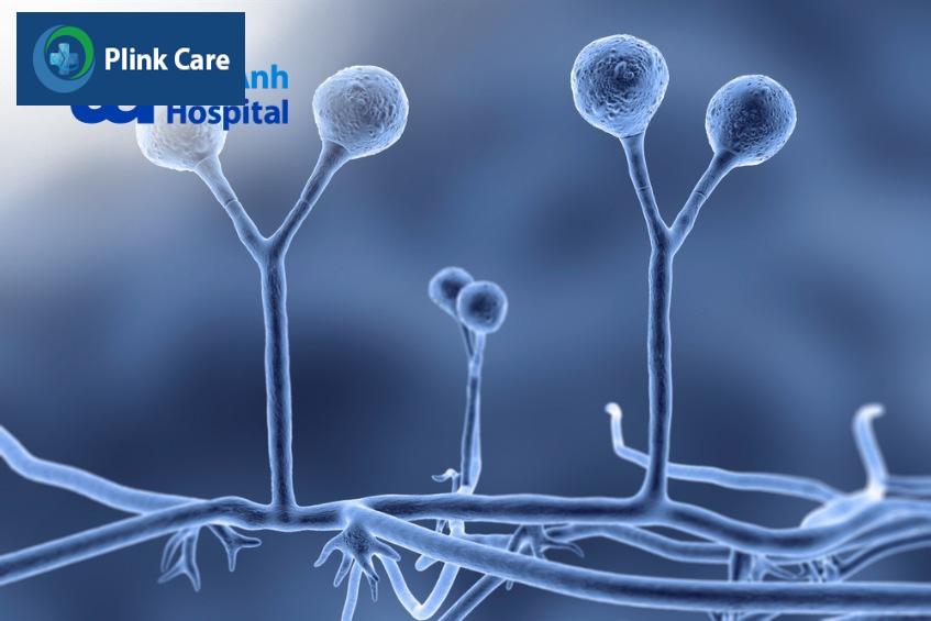 liệu pháp tân hỗ trợ điều trị ung thư vú