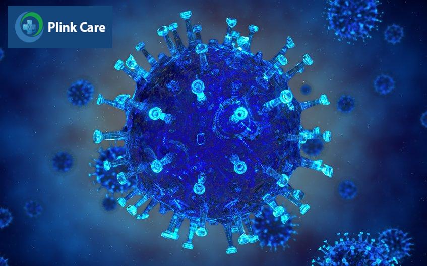 mô phỏng virus cúm b