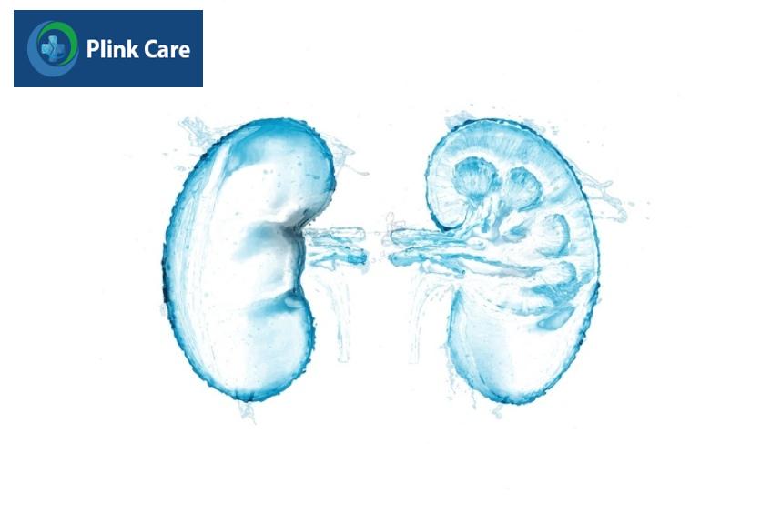 thận ứ nước có bao nhiêu giai đoạn
