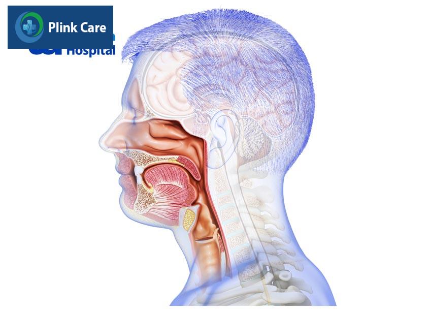 ung thư miệng là ung thư phát triển trong các mô ở vùng miệng